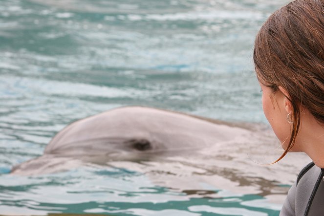 Natural World - Saved by Dolphins - Tierische Rettungsschwimmer - Filmfotos
