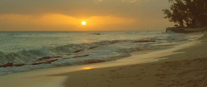 Simple Plan - Summer Paradise - De la película