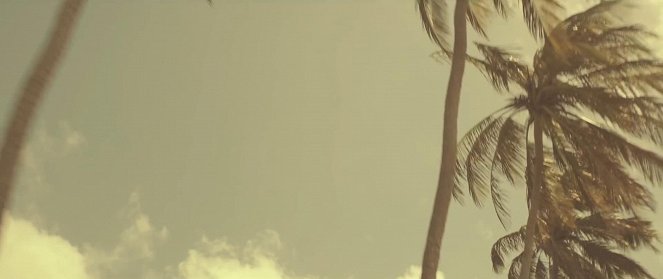 Simple Plan - Summer Paradise - Photos