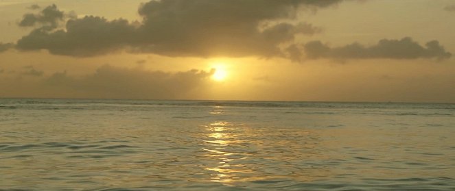 Simple Plan - Summer Paradise - Film