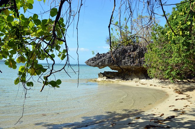 Na cestě - Na cestě po ostrově Palawan - Kuvat elokuvasta