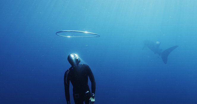 L'odyssée des monstres marins (Swimming with Legends) - Z filmu