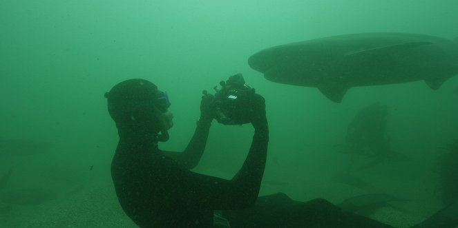 Under the Sea - Lautlos unter Giganten - Filmfotos