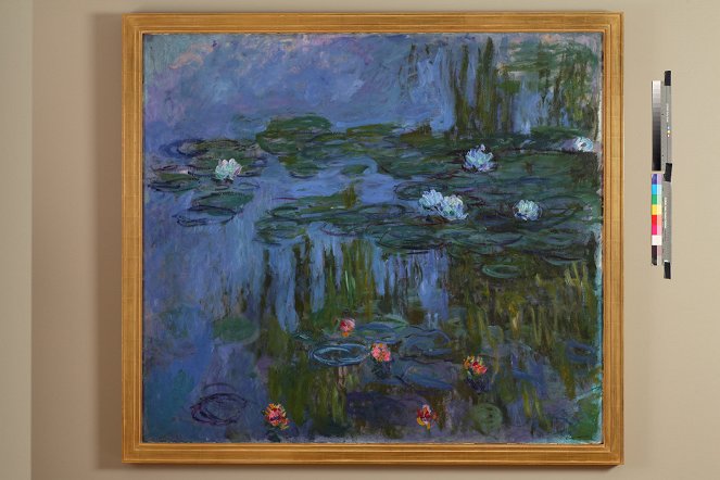 Pintando el Jardín Moderno: De Monet a Matisse - De la película