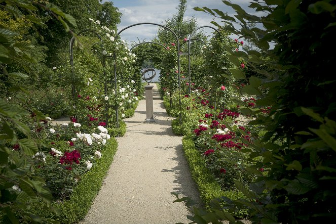 A modern kert festői: Monet-tól Matisse-ig - Filmfotók