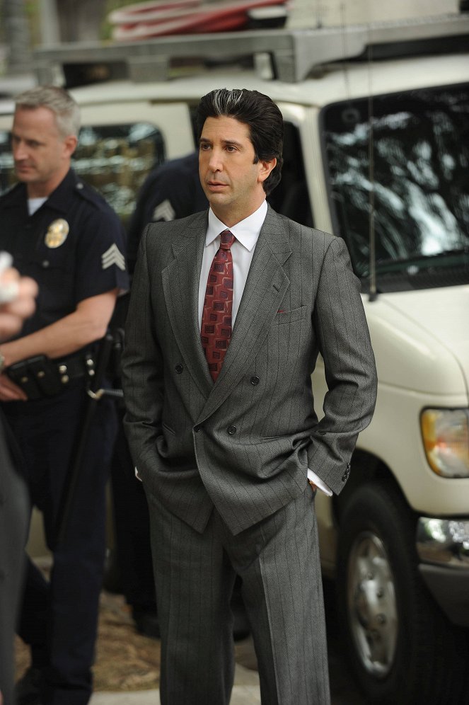 American Crime Story - From the Ashes of Tragedy - De la película - David Schwimmer