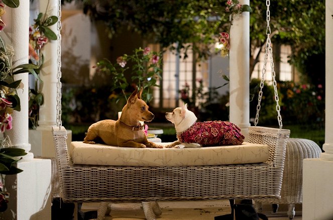 Un chihuahua en Beverly Hills - De la película