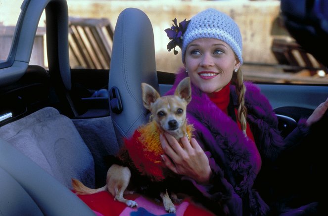 La Revanche d'une blonde - Film - Reese Witherspoon