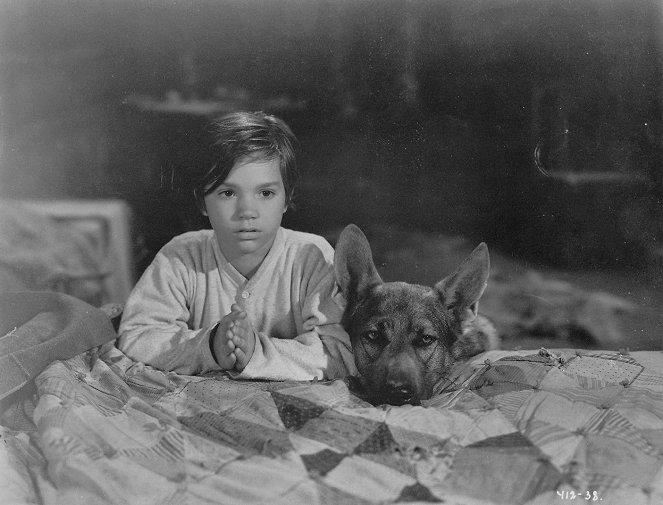 Sign of the Wolf - Film - Darryl Hickman