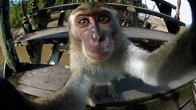 Klick! Tierische Selfies - Filmfotos