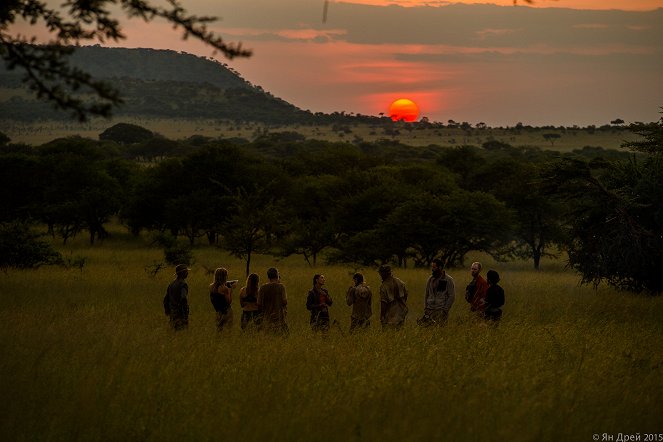 Mygrations – Quer durch die Serengeti - Filmfotos