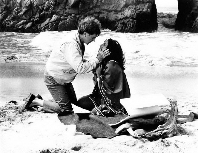 The Sandpiper - Van film - Richard Burton, Elizabeth Taylor