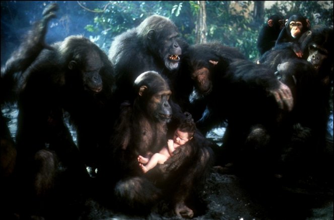 Greystoke, la leyenda de Tarzán, el rey de los monos - De la película
