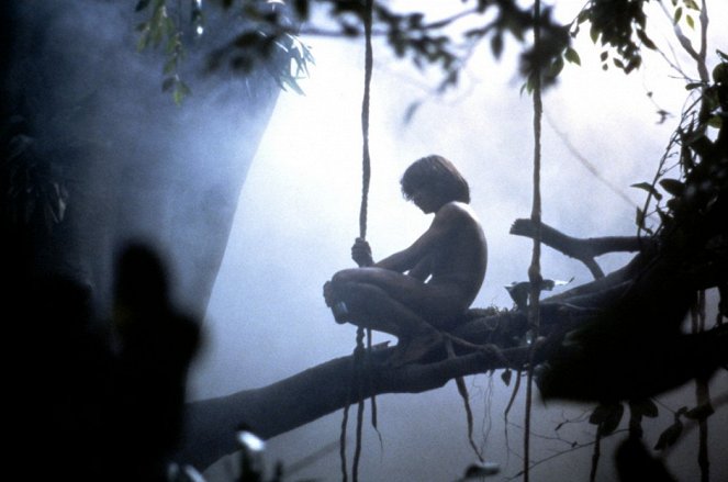 Greystoke, la légende de Tarzan - Film