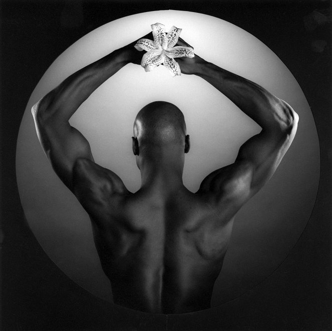 Mapplethorpe : Look at the Pictures - Film