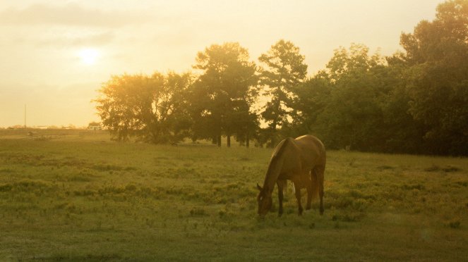 Cowgirls and Angels 2: Dakotas Pferdesommer - Filmfotos