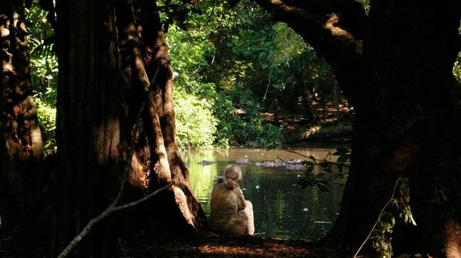 Jane's Journey - Die Lebensreise der Jane Goodall - Filmfotos