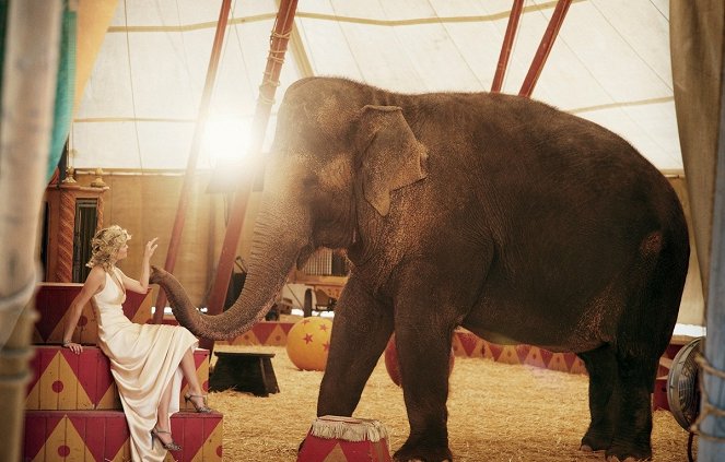 De l'eau pour les éléphants - Promo