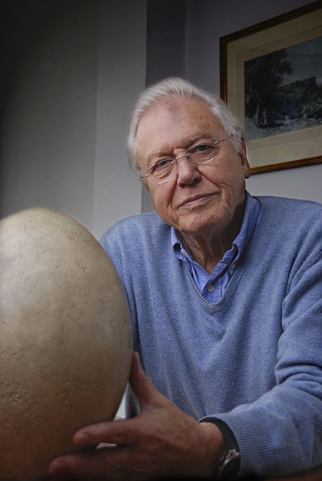 Attenborough and the Giant Egg - Photos - David Attenborough