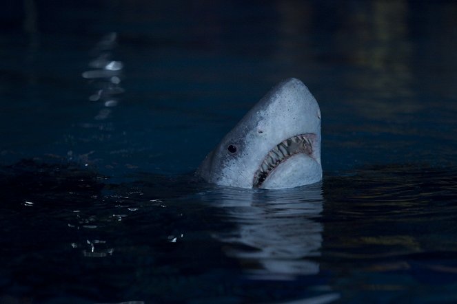 Hodina duchů - Série 1 - Pool Shark - Z filmu