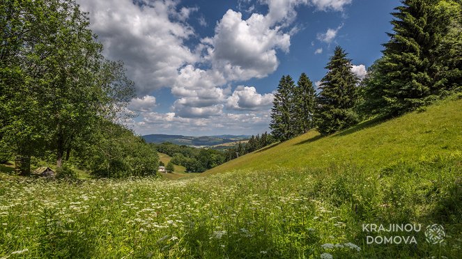 Csehország madártávlatból - Orchidejové hory - Filmfotók