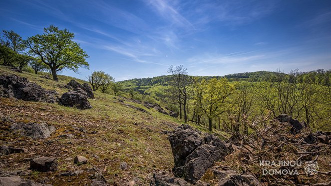 Krajinou domova - Královské lesy - Filmfotos