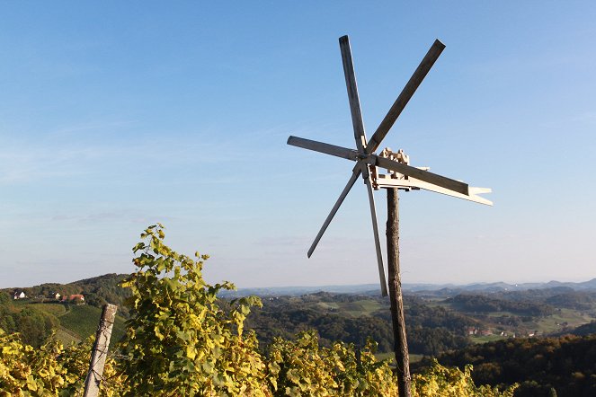 Eingeschenkt - Weinland Österreich - Filmfotos