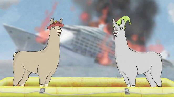 Llamas with Hats - Photos