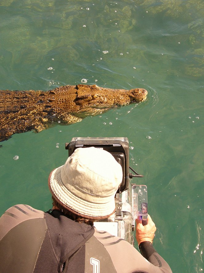 The Natural World - Invasion of the Crocodiles - Kuvat elokuvasta
