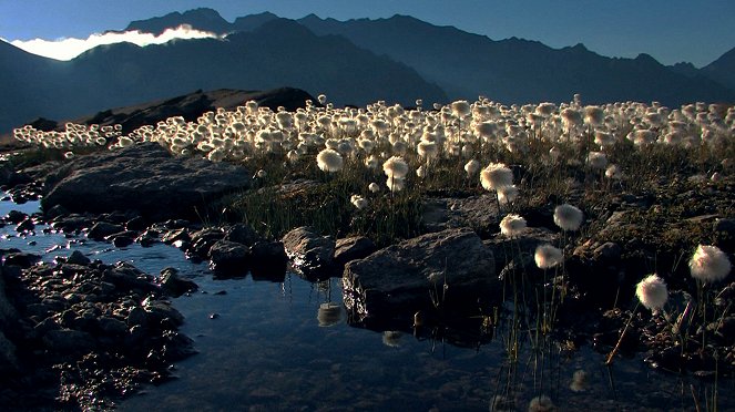 The Best of Worlds: Life at its Alpine Limits - De la película