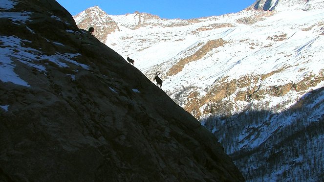 Život v Alpách - Z filmu