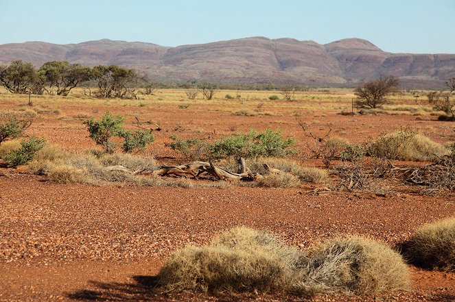 Australia's Wild Places - Die rote Wüste - Photos
