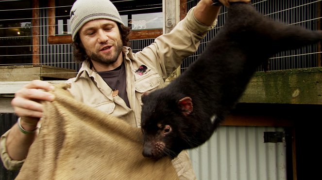 Australia's Wild Places - Die Insel der Teufel - Photos