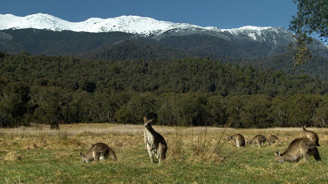 Australiens Nationalparks - Die australischen Alpen - Do filme