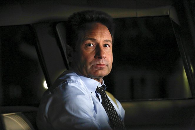 Aquarius - Why Don't We Do It in the Road - Film - David Duchovny