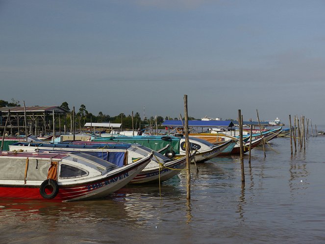 Zu den Quellen des Essequibo - Photos