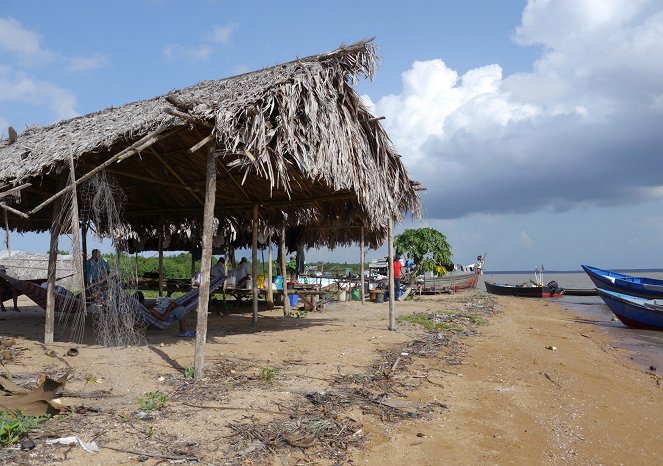 Zu den Quellen des Essequibo - Im Delta - Photos