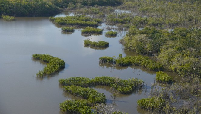 Zu den Quellen des Essequibo - Filmfotos