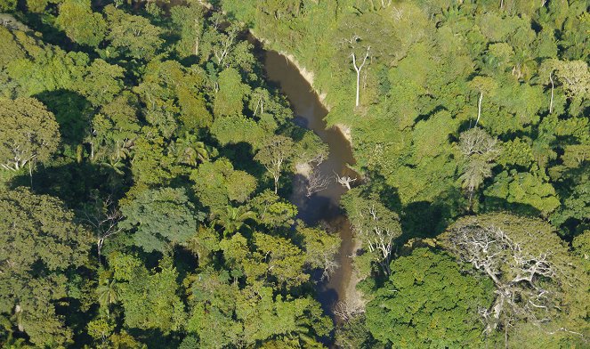 Zu den Quellen des Essequibo - Filmfotos