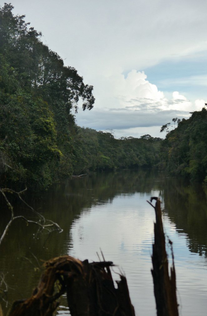 Zu den Quellen des Essequibo - Filmfotos