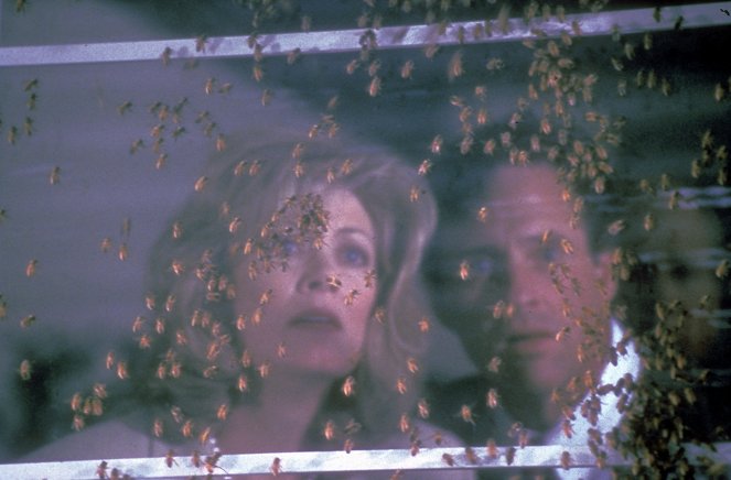 Deadly Invasion: The Killer Bee Nightmare - Van film