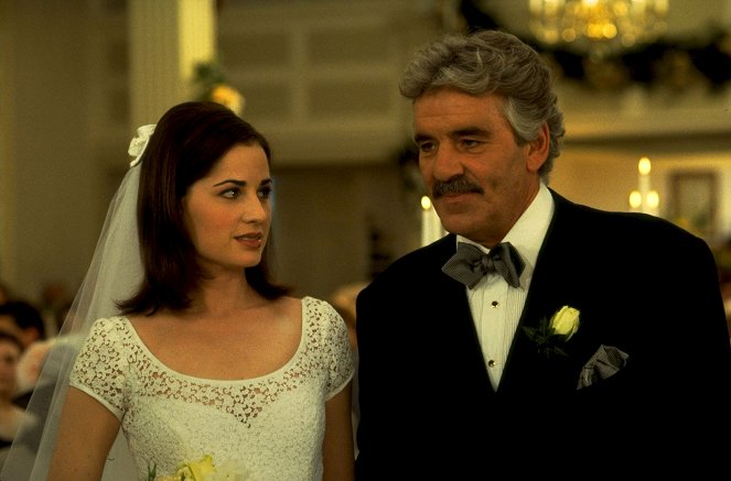 That Old Feeling - Photos - Paula Marshall, Dennis Farina