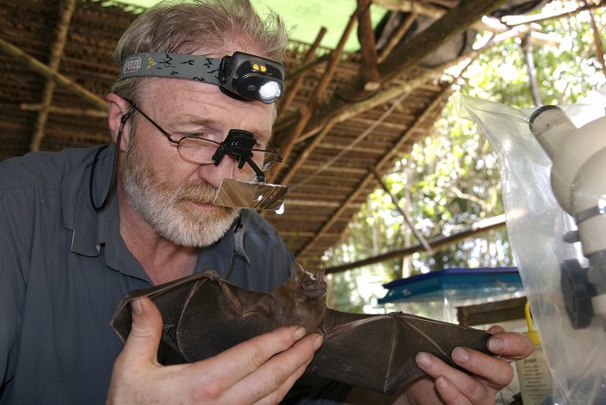 Lost Land of the Jaguar: An Expedition to the Jungles of Guyana - Filmfotók