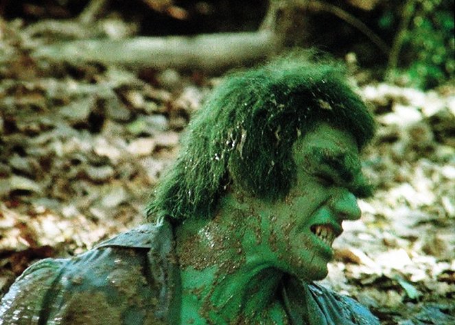 O Incrível Hulk - Death in the Family - Do filme - Lou Ferrigno