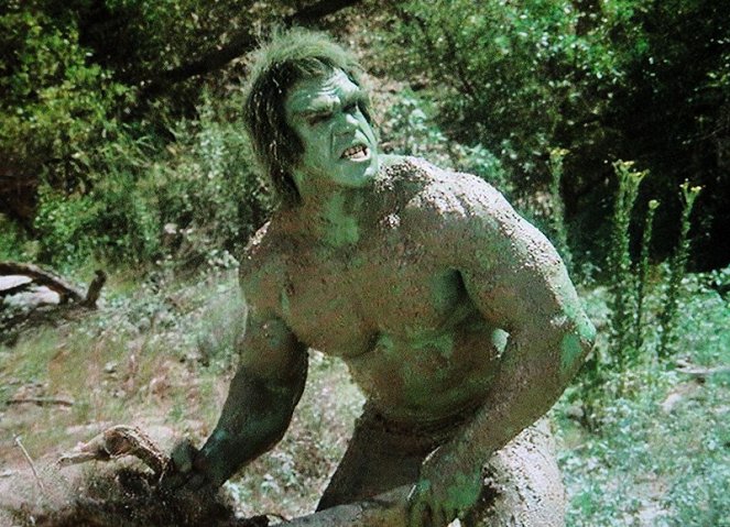 The Incredible Hulk - Season 1 - Death in the Family - Photos - Lou Ferrigno