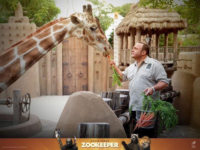O Guarda do Zoo - Cartões lobby