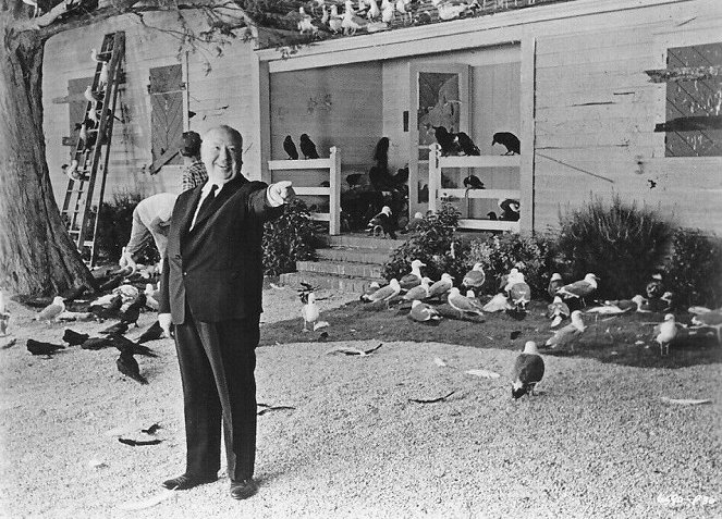 Linnut - Kuvat kuvauksista - Alfred Hitchcock