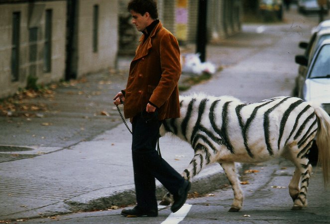 Quelque chose d'organique - Filmfotos - Laurent Lucas