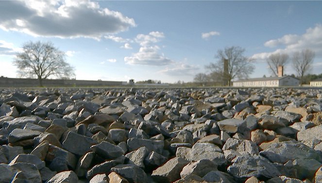Laufen bis zum Umfallen - Die Schuhtester von Sachsenhausen - Kuvat elokuvasta