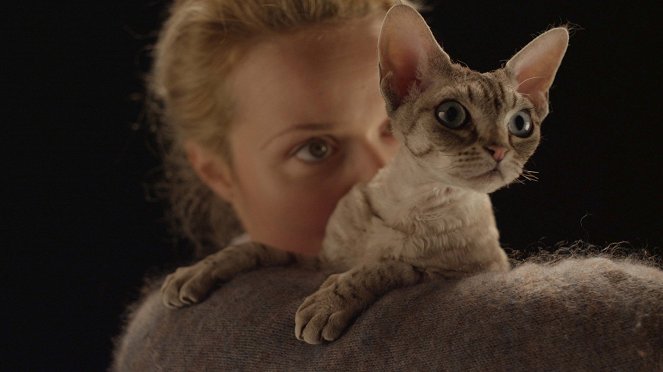 Tajný život koček - Z filmu